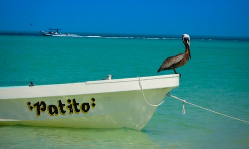 Райский остров Хольбош